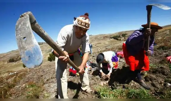 Promulgan ley que extiende vigencia del Plan Nacional de Agricultura Familiar