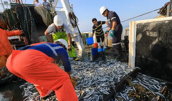 INEI: Economía se contrae 1,43% en mayo, su menor tasa en el año