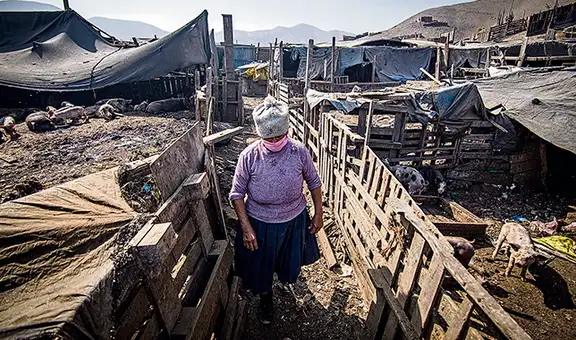 World Inequality Report 2022: Perú entre los países más desiguales del mundo