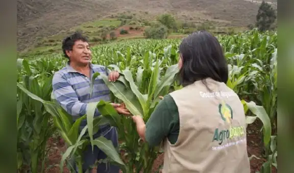 Agrobanco cerró primer trimestre con utilidades y avance de créditos