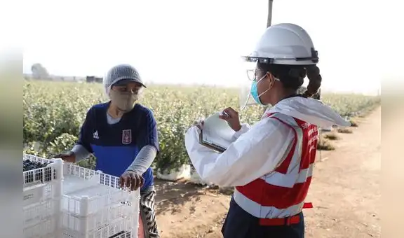 Sunafil fortalece seguridad y salud en el trabajo a través de charlas personalizadas
