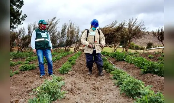 Planta de fertilizantes es viable, pero con algunos ajustes