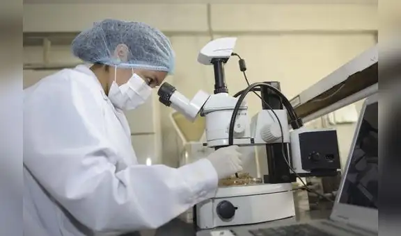 Fortalecer la ciencia y crear ministerios