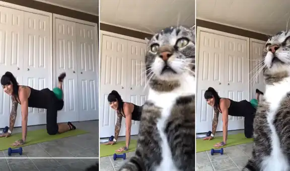 Joven se graba en rutina de ejercicios y su gato se ‘apodera’ de la cámara