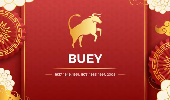 Horóscopo chino 2021: predicciones para el Buey en el amor, dinero y salud