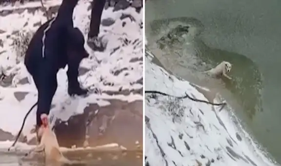 Rescatan a perro de un lago congelado y uno de sus salvadores lo adopta