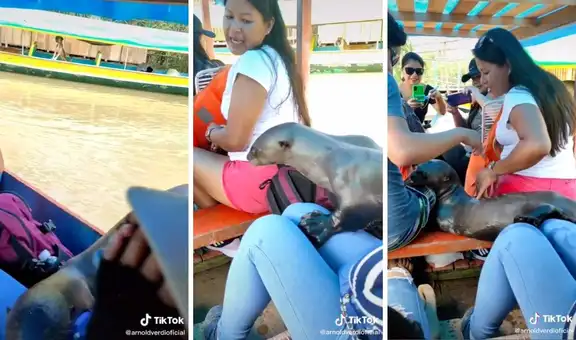 Nutria se sube al bote de unos turistas para ‘acompañarlos’ en su viaje 
