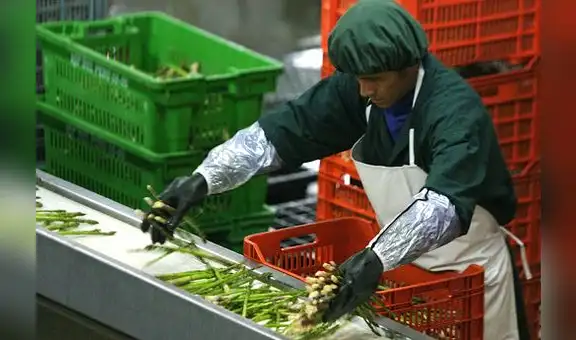 Ley agraria: Ejecutivo suspende reunión esperada por trabajadores de la agroindustria