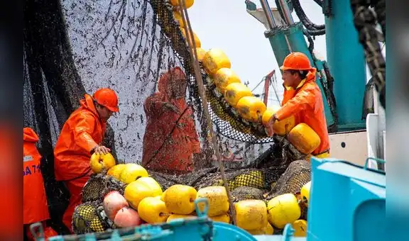 Se capturó el 88% de la cuota de anchoveta en la segunda temporada de pesca