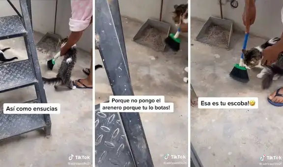 Dueña hace ‘barrer’ a su gatita por el desorden de sus cachorros 