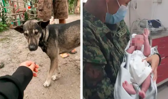 Perro ladra a motociclista para mostrarle a un bebé abandonado