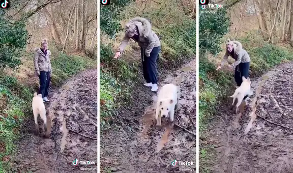 Reacción de un perro al correr sobre un charco de lodo conmueve en redes