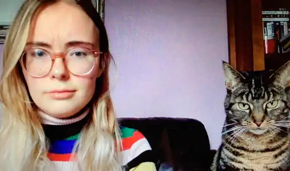 Gato se ha vuelto fanático de las clases vía zoom 