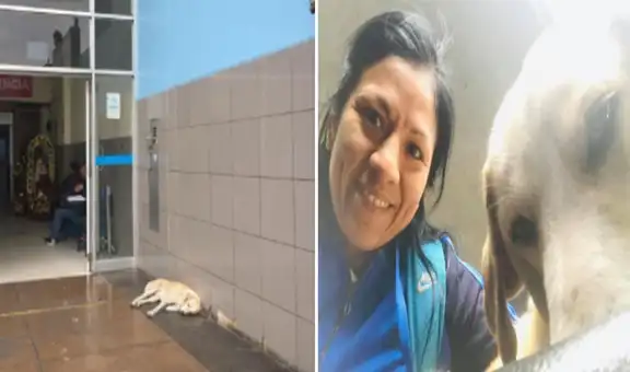 Adoptan a perrito que esperó tres días a su dueño fallecido en hospital