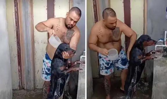 Perro escapa a la calle y acepta que su dueño lo bañe como castigo