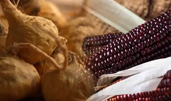 Perú abrió 75% más casos por biopiratería de productos en el mundo que en el 2019