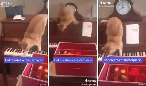 Gatito presiona las teclas de un piano para crear una ‘pieza maestra’