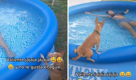 Dueña le juega broma a su chihuahua para ver si salta al agua a rescatarla