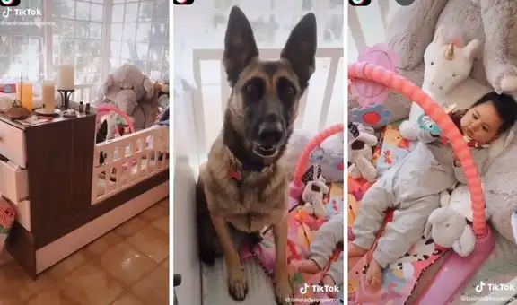 Perrito hace de niñera al cuidar a un bebé dentro de su cuna