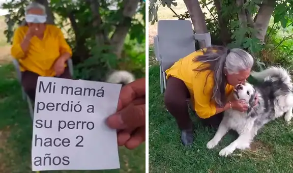 Madre recibe sorpresa y vuelve a ver a su perro que perdió hace 2 años