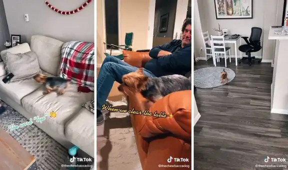 Familia hace un video sobre las extrañas cosas que disgustan a su perrito