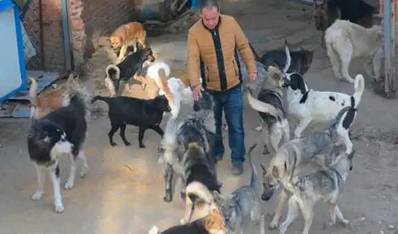 Hombre gasta su fortuna para crear un refugio y salvar a perros callejeros