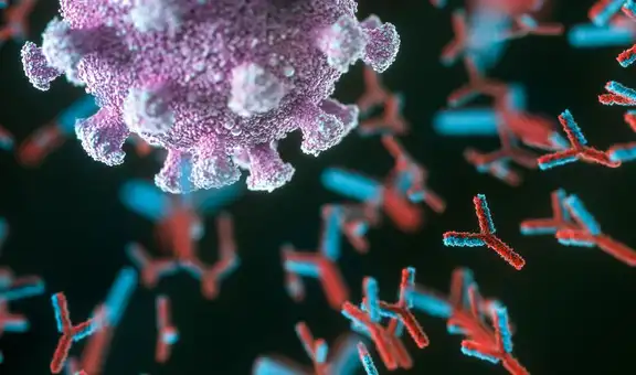El anticuerpo de “alta potencia” que se usa para tratar y prevenir la COVID-19