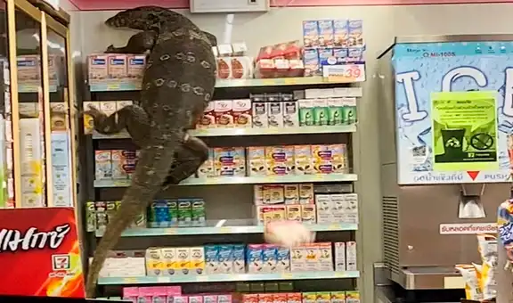 Dragón de Komodo genera terror en los clientes de un supermercado