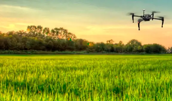 Lambayeque: usan drones y satélites para optimizar el cultivo de arroz