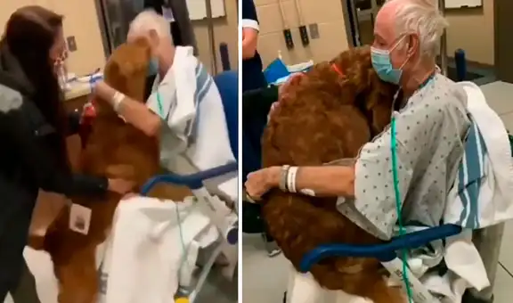 Perro se emociona al reencontrarse con su dueño tras visitarlo en hospital
