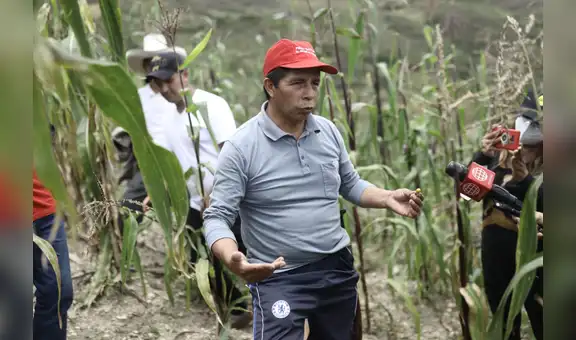 Pueblos indígenas de Loreto apoyan a Pedro Castillo con condiciones