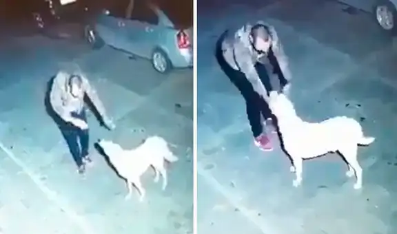 Hombre se encuentra con un perro y baila con él en la calle