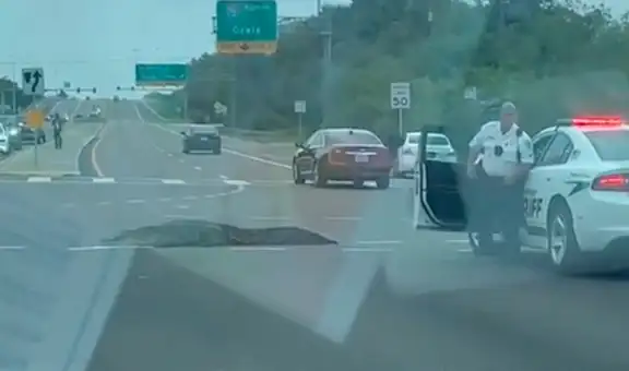 Un caimán gigante es captado paseando en plena carretera de Florida