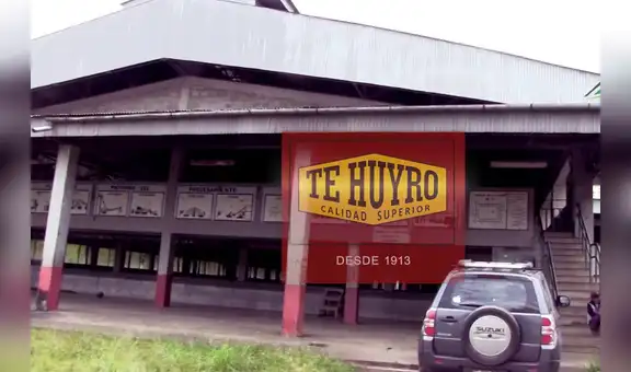 Enviarán 20 toneladas de té Huyro de Cusco a EE.UU.