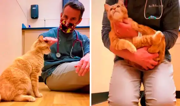Veterinario salva la vida de gatito callejero que iba a ser sacrificado 