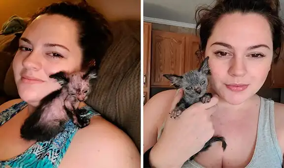 Joven lleva a su gata al veterinario y descubre que era un extraño ejemplar