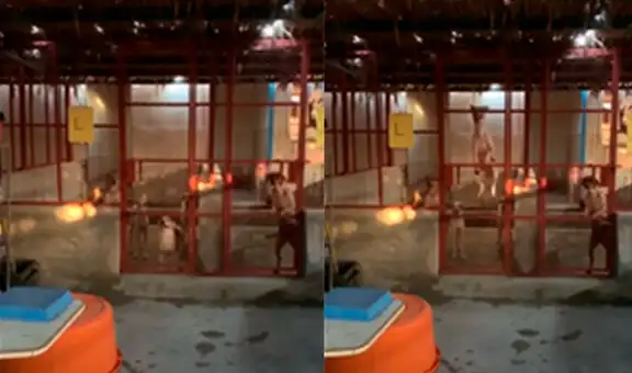 Perro de un albergue salta de la emoción tras ver llegar a su rescatista