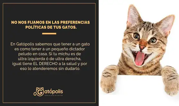 Veterinaria se vuelve viral por responder a campaña de ‘Perruqueo’