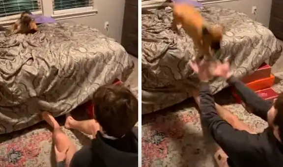 Joven juega con su perro en su habitación y escena se vuelve viral