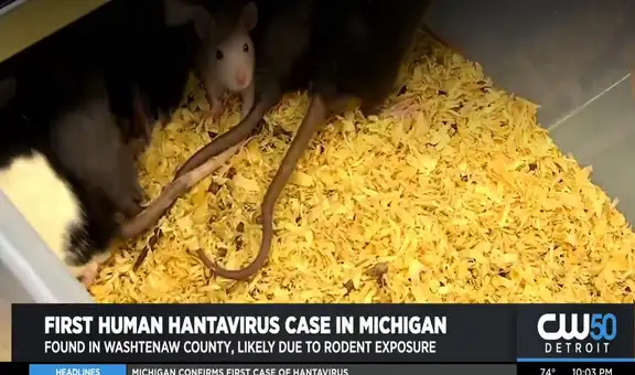 Confirman en Estados Unidos el primer caso humano de hantavirus en Míchigan
