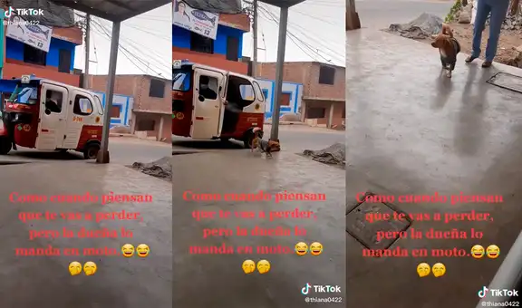 Su perro la sigue a la calle, pero lo regresa en una mototaxi a su casa