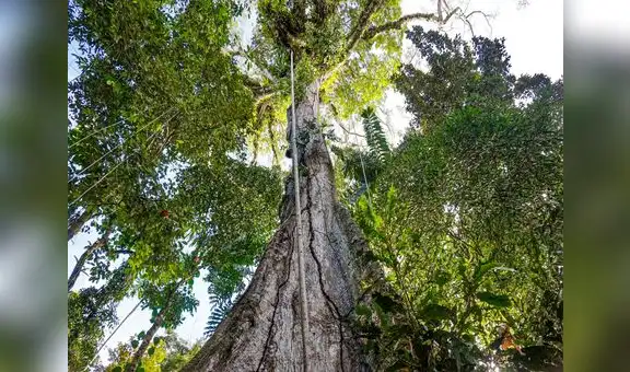 Huánuco: Codo de Pozuzo más cerca de  convertirse en Área de Conservación Regional