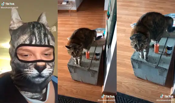 Mujer usa una máscara de gato frente a su mascota y esta tiene una curiosa reacción