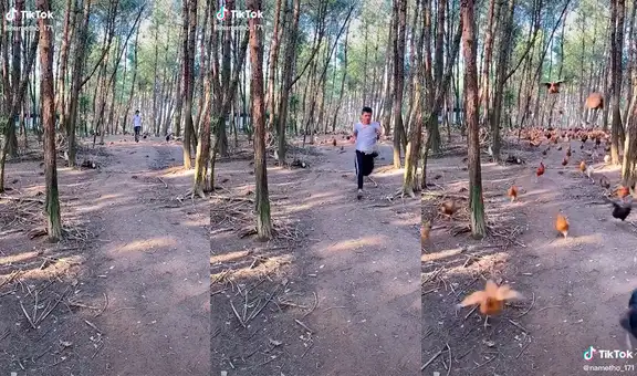 Sujeto es captado mientras corre junto a un ‘ejército’ de gallinas