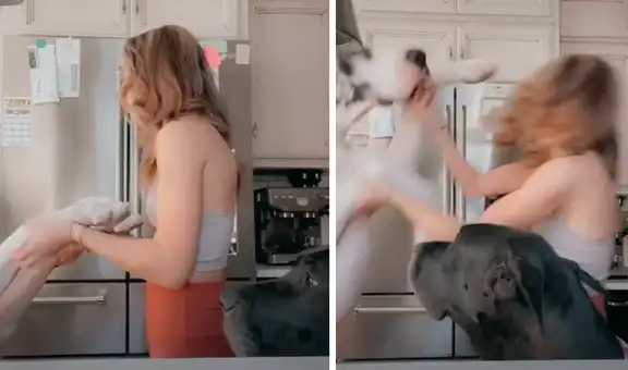 Mujer intenta grabar un video con su enorme perro, pero este lo arruina todo