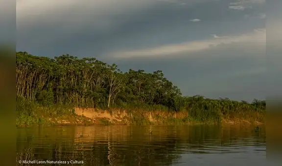 Ucayali: Alto Tamaya-Abujao cada vez más cerca de ser declarada Área de Conservación Regional