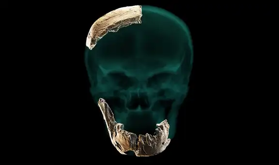 Descubren en Israel una misteriosa especie humana que convivió con nuestros ancestros