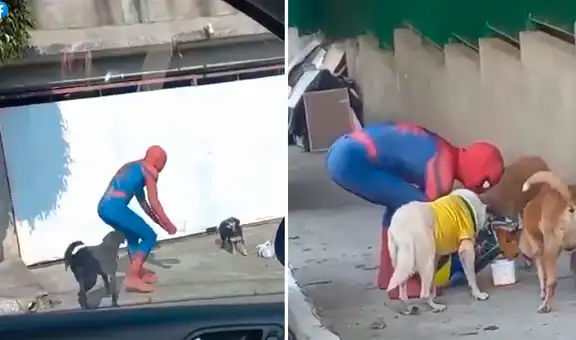 Joven disfrazado del Hombre Araña reparte comida a perrito callejeros