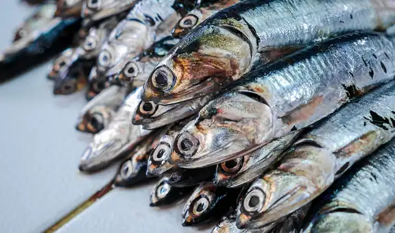 Produce autoriza segunda temporada de pesca de anchoveta desde el 22 de noviembre