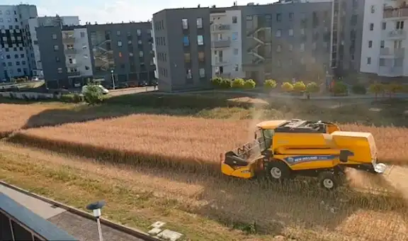 Granjero se negó a vender su terreno y ahora cosecha entre edificios de viviendas